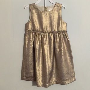 Gymboree Holiday Dress